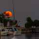 Illustration for article titled Film From The Minolta XG-M Is Back, Plus A Super Moon